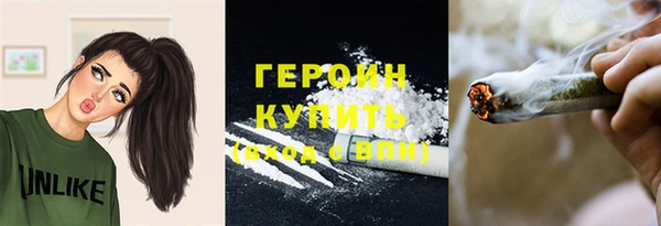 ешки Бородино