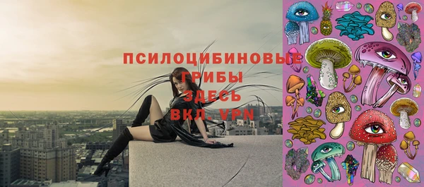ешки Бородино