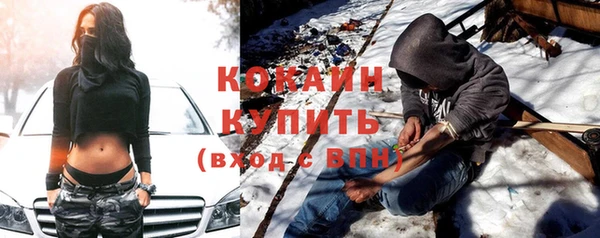 ешки Бородино