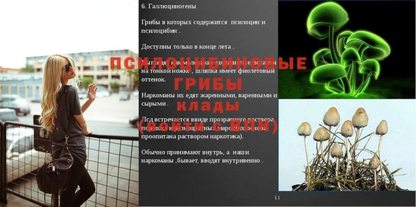 ешки Бородино