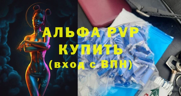 ешки Бородино