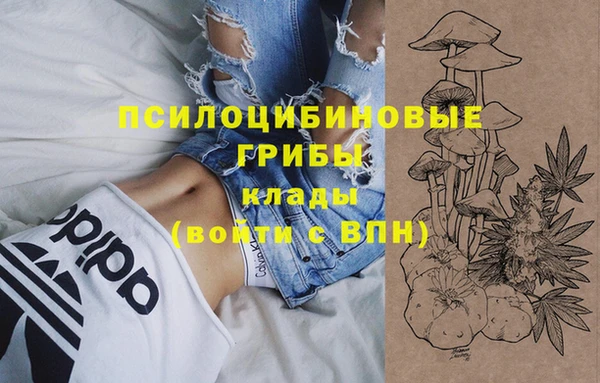 таблы Сосновый Бор
