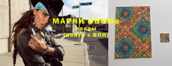 ешки Бородино